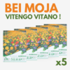 Flowering Mixed Perennial Wildflower Seeds - Thumbnail Image 7