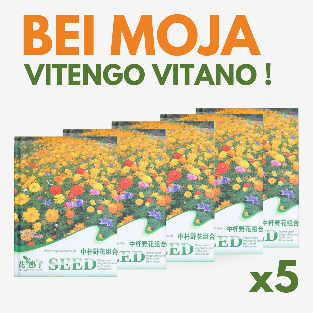 Flowering Mixed Perennial Wildflower Seeds - Image 7