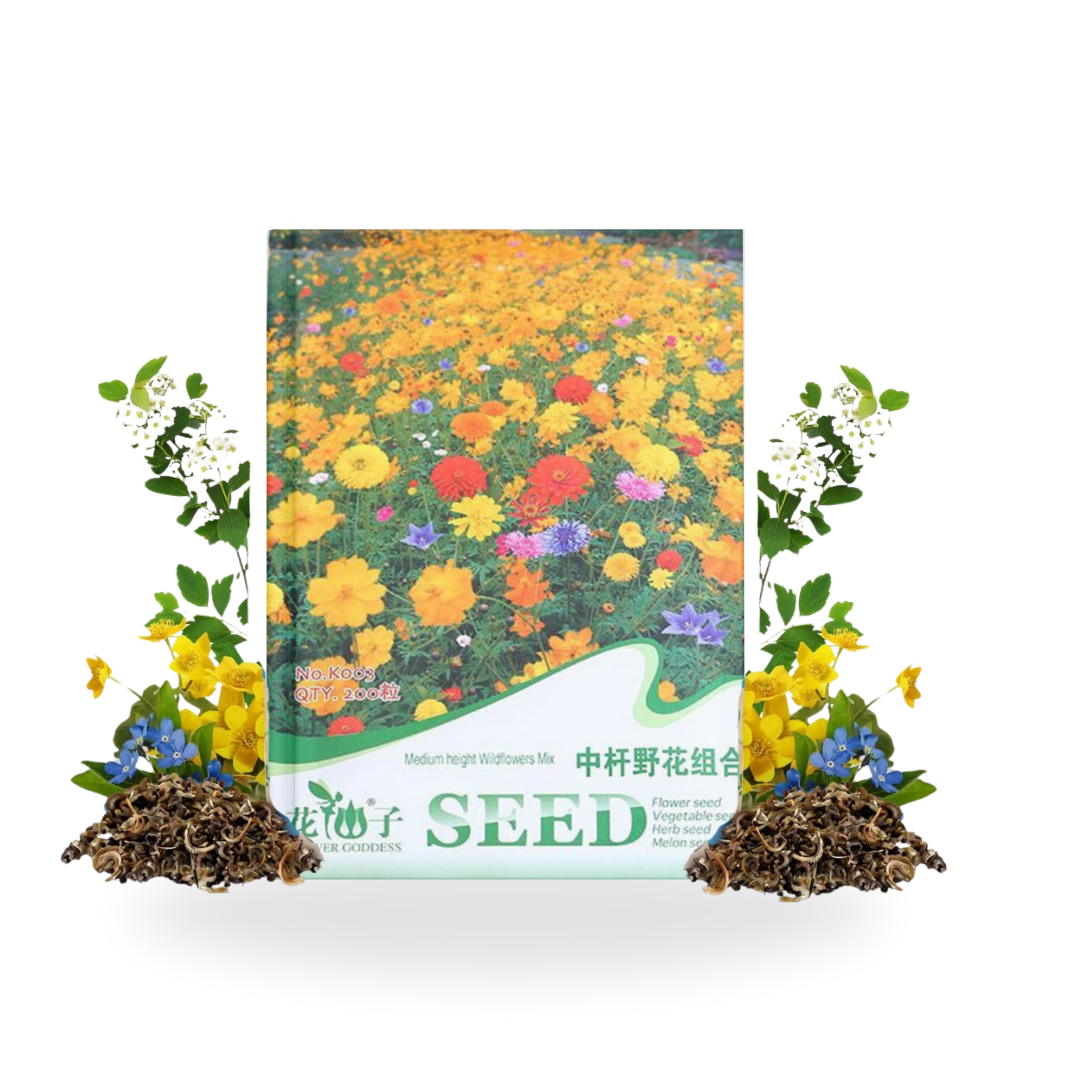 Flowering Mixed Perennial Wildflower Seeds - Image 2